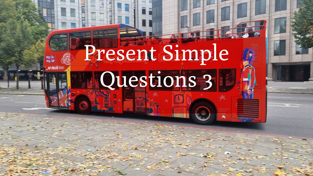 Present Simple – Questions 3